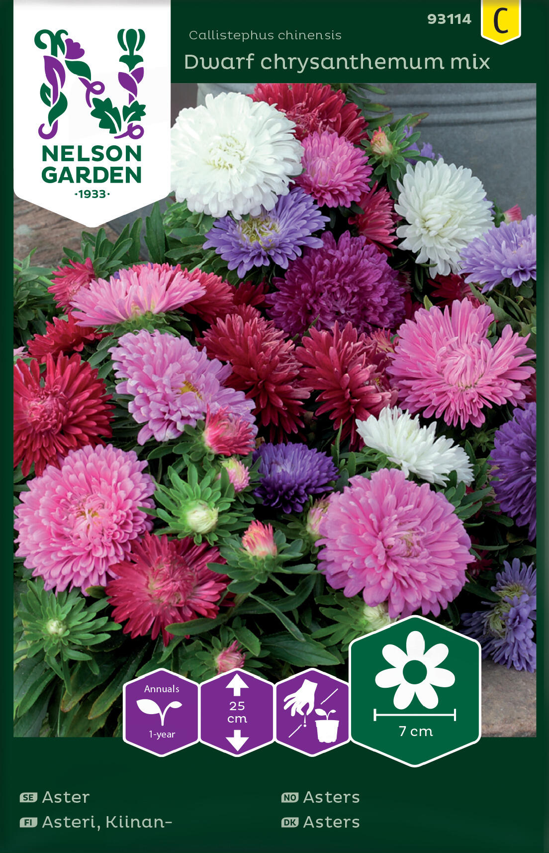 Aster, dvärg, dvärgkrysantemumblandning